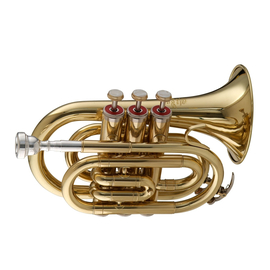 "Карманная" труба Stagg 77-MT