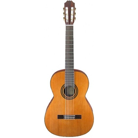Акустическая классическая гитара Aria AC 25BB