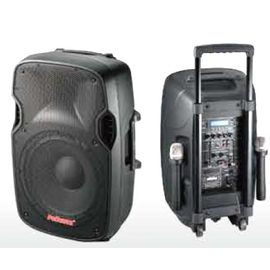 Активная акустическая система NGS PP-2912AUS-CB 12"+1.5", 50-80 Вт, 4 Ом