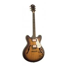 Електрогитара AXL AE820MS