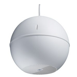 Подвесная акустическая система IC Audio DL-K 20-165/T