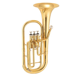 Альтгорн Jupiter JAL456N