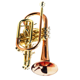 Корнет Jupiter JCR526MRL