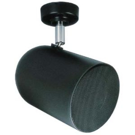 Рупорная АС RCF DP 2/T