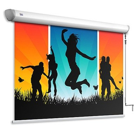 Экран Adeo Screen моторизированный Adeo Linear Vision White 240x145