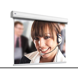 Экран Adeo Screen ручн. Professional Vision White 263x197,формат экрана 4:3