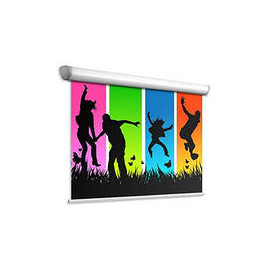 Экран Adeo Screen моториз.Linear Vision White 210x126,формат экрана 16:10, ed.60