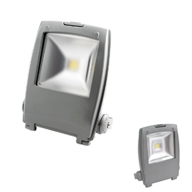 LED прожектор Technoled 30W (хол. белый) Код: 30106