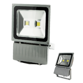 LED прожектор Technoled 100W (хол. белый) Код: 30108