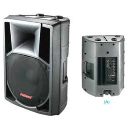 Активная акустическая система NGS PP-2212A with output 12"+2,5", 200-380 Вт, 8 Ом