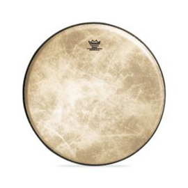 Пластик для бенджо Remo BJ1100M2