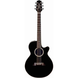 Электроакустическая гитара с кейсом TAKAMINE EF261 SMALL BODY