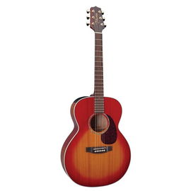 Акустическая гитара Takamine G320-NS DRD NS