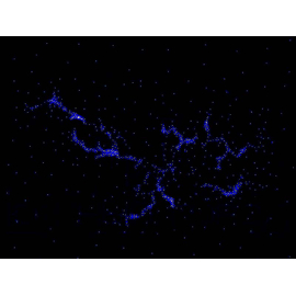 Панель "Галактика" Fiber optic N-01