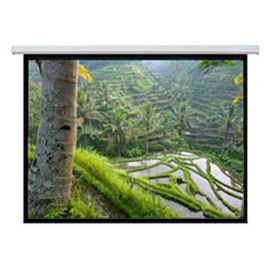 Экран в тубусе Dj Lights 150"