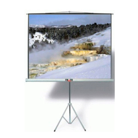 Экран на треноге Dj Lights 120"