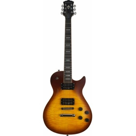 Электрогитара Washburn WINPROFTSB