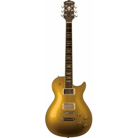 Электрогитара Washburn WINSTDG