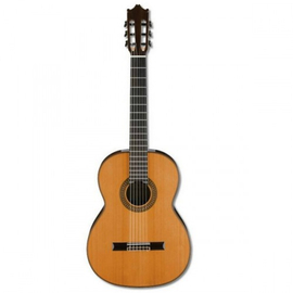 Классическая гитара IBANEZ G500 NT