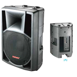 Активная акустическая система NGS PP-2215A with output 15"+3", 400-600Вт, 8 Ом