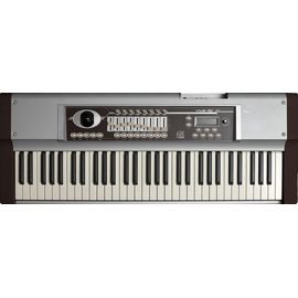 Миди клавиатура Studiologic VMK 161Plus Organ