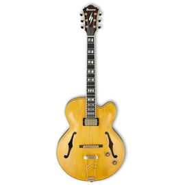 Именная гитара Пэт Мэтэни IBANEZ PM2 AA