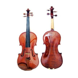 Скрипка CARLO GIORDANO VS2 4/4