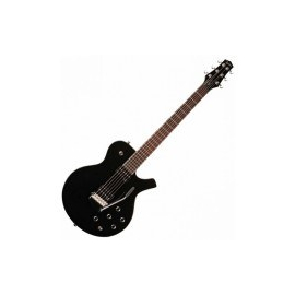 Электрогитара Parker PM20 PROFTB