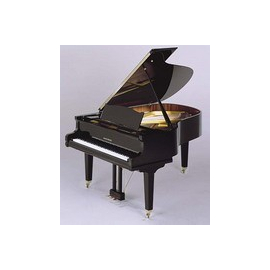 Рояль August Foerster 190 JGRG mat