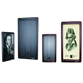 Акустическая система STUDIOMASTER AI4