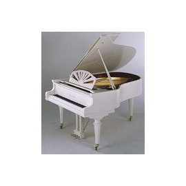 Рояль August Foerster 170 Classik WT pol