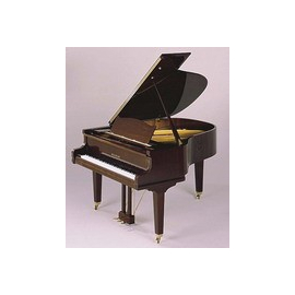 Рояль August Foerster 170 PRAV mat