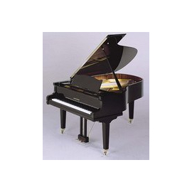 Рояль August Foerster 190 Classik BK pol