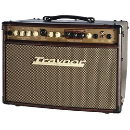 Комбоусилитель Traynor AM Studio