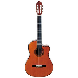 Классическая гитара Valencia CCG1