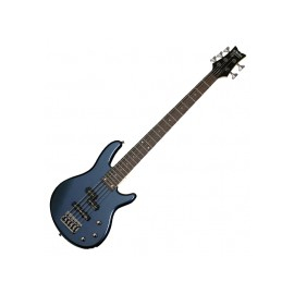 Электрогитара Schecter Raiden DLX-5 DMB 2011