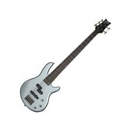 Электрогитара Schecter Raiden DLX-5 MSIL 2011
