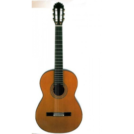 Гитара RODRIGUEZ C CEDRO - 625/781 1471