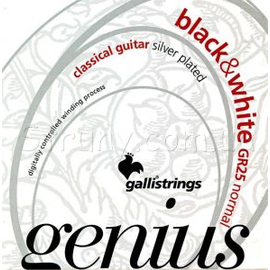 Струны GALLI Genius Black&White PROcoated GR25 (28-44) Normal Tension