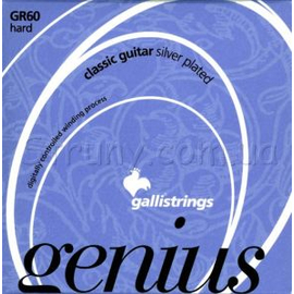 Струны GALLI Genius PROcoated GR60 С (29-45) Hard Tension