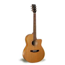Гитара S&P 029150 - Woodland CW Folk