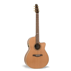 Гитара SEAGULL 019885 - Artist Mosaic Folk with DLX TRIC