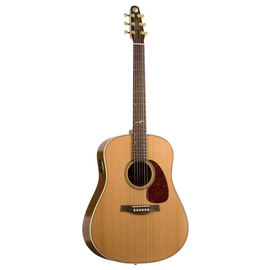 Гитара SEAGULL 033508 - Artist Mosaic Deluxe QII with DLX TRIC