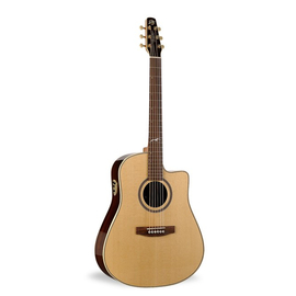 Гитара SEAGULL 033478 - Artist Studio CW Deluxe QII with DLX TRIC