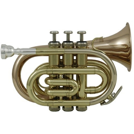 Карманная труба GEWA Bb Roy Benson PT-101G VE 10 RB701012