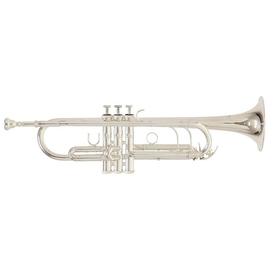 Труба GEWA Bb Roy Benson TR-402S RB701083