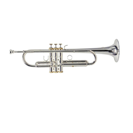 Труба GEWA Bb Roy Benson  Charli Green RB701087