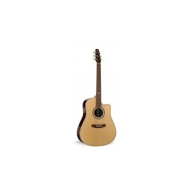 Гитара SEAGULL 025022 - S6+ CW FOLK