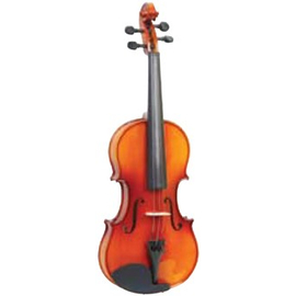 Скрипка MAXTONE  TV1/2P