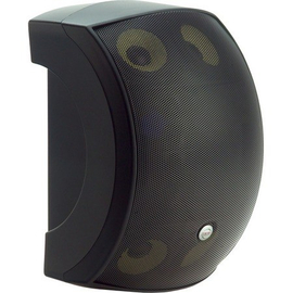 Трансляционная акустическая система EAW SMS2124 Black
